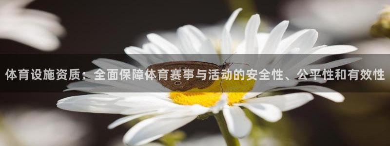 意昂4娱乐下载：体育设施资质：全面保障体育赛事与活动的安全性