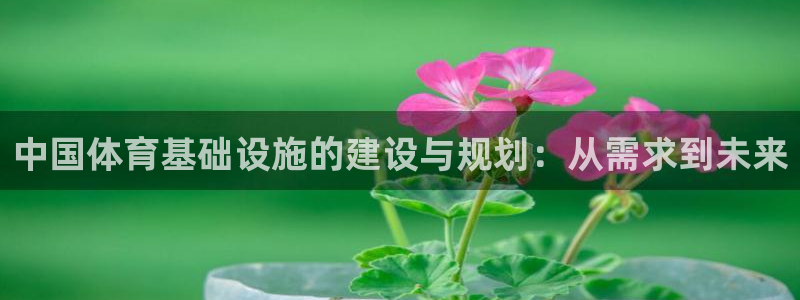 意昂体育4招商电话是多少：中国体育基础设施的建设与规
