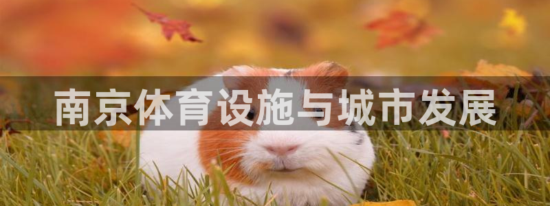 意昂4集团官网首页：南京体育设施与城市发展