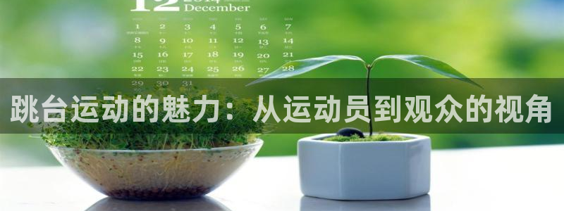 意昂体育4招商：跳台运动的魅力：从运动员到观众的视角