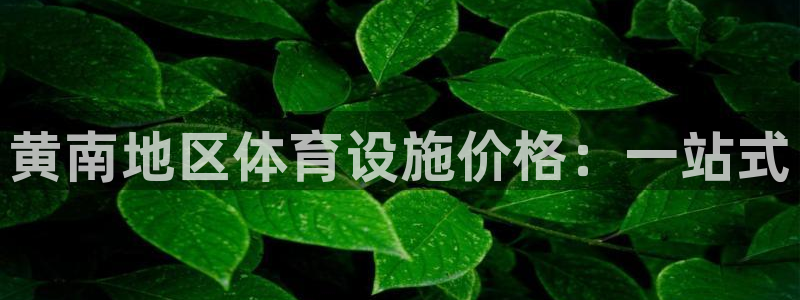 意昂体育4是干嘛的公司：黄南地区体育设施价格：一站式