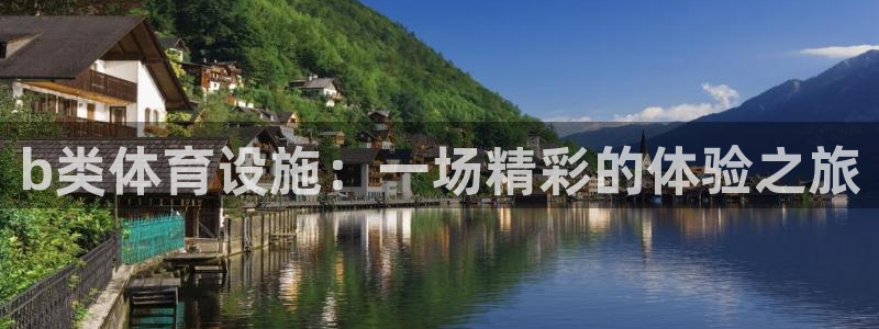 意昂体育4平台注册要钱吗：b类体育设施：一场精彩的体