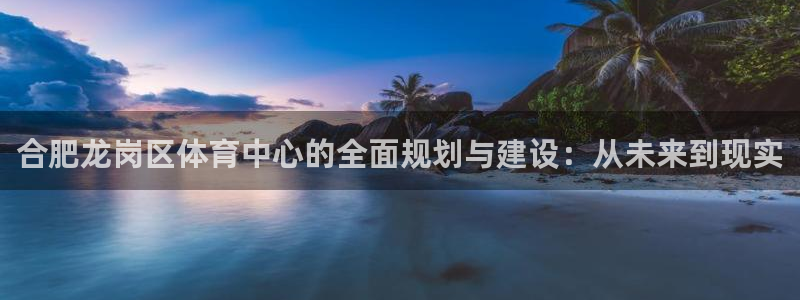 意昂体育4：合肥龙岗区体育中心的全面规划与建设：从未