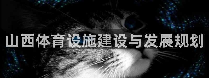 意昂4集团官网首页：山西体育设施建设与发展规划