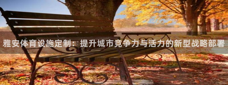 意昂体育4招商电话是多少啊：雅安体育设施定制：提升城