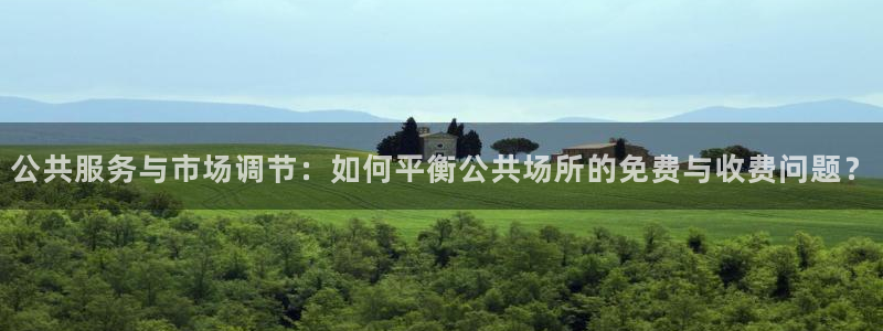 意昂集团官网：公共服务与市场调节：如何平衡公共场所的