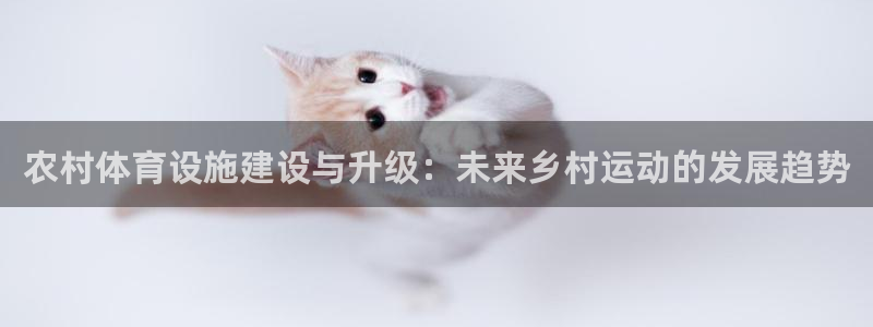意昂4娱乐下载：农村体育设施建设与升级：未来乡村运动