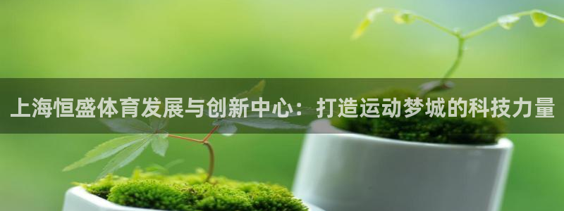 意昂体育4是干嘛的公司：上海恒盛体育发展与创新中心：