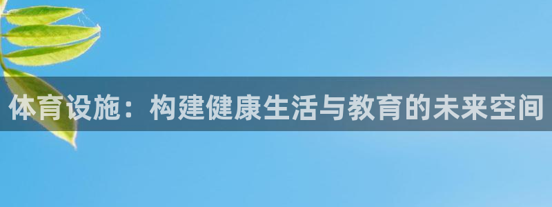 意昂体育4软件：体育设施：构建健康生活与教育的未来空