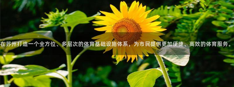 意昂4娱乐是那个系列的台子：在苏州打造一个全方位、多层次的体