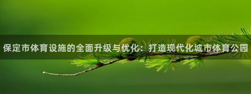 意昂4娱乐网站：保定市体育设施的全面升级与优化：打造