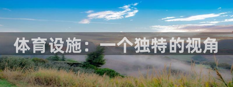 意昂体育4平台注册要钱吗安全吗：体育设施：一个独特的