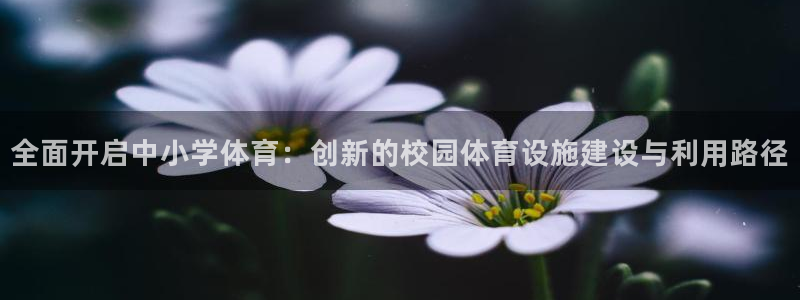 意昂体育4是干嘛的公司：全面开启中小学体育：创新的校