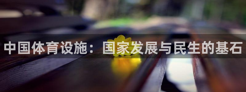 意昂体育4招商电话是多少：中国体育设施：国家发展与民生的基石