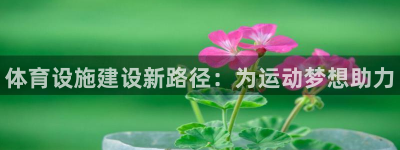 意昂体育4：体育设施建设新路径：为运动梦想助力