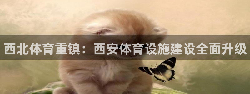 意昂4开户：西北体育重镇：西安体育设施建设全面升级