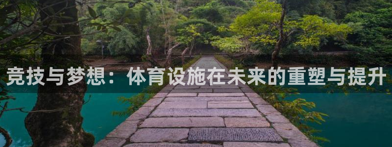 意昂平台体育：竞技与梦想：体育设施在未来的重塑与提升