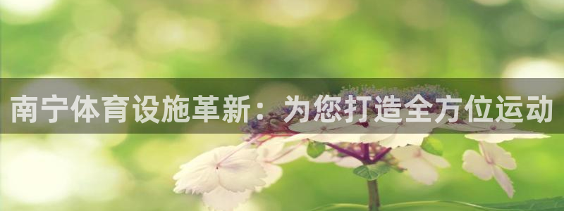 意昂体育4开户：南宁体育设施革新：为您打造全方位运动