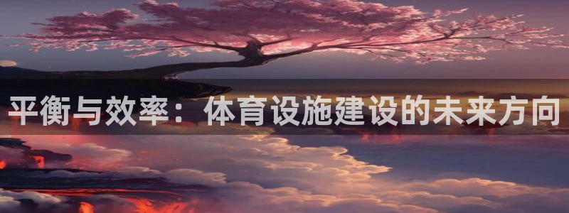 意昂体育4是干嘛的公司：平衡与效率：体育设施建设的未