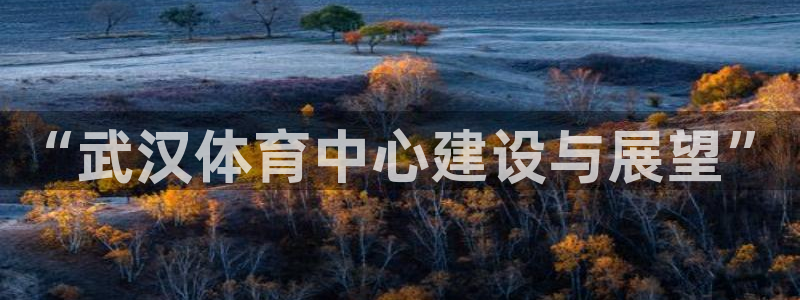意昂体育4娱乐：“武汉体育中心建设与展望”