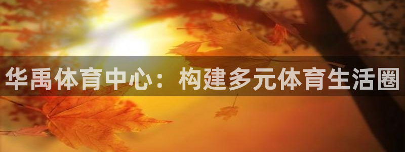 意昂4娱乐平台：华禹体育中心：构建多元体育生活圈