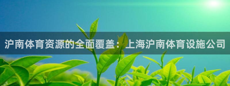 意昂4娱乐下载：沪南体育资源的全面覆盖：上海沪南体育设施公司