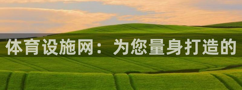 意昂集团官网：体育设施网：为您量身打造的
