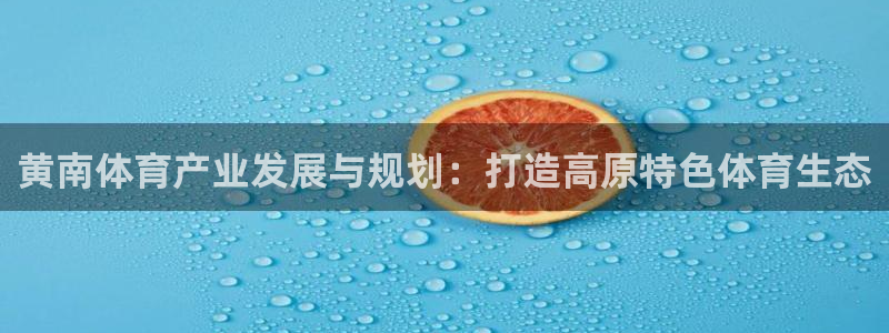 意昂体育4招商电话号码查询：黄南体育产业发展与规划：打造高原