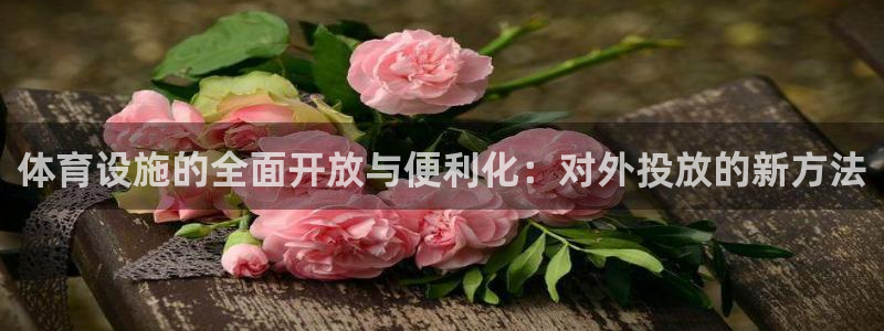 意昂4娱乐首页官网下载：体育设施的全面开放与便利化：对外投放