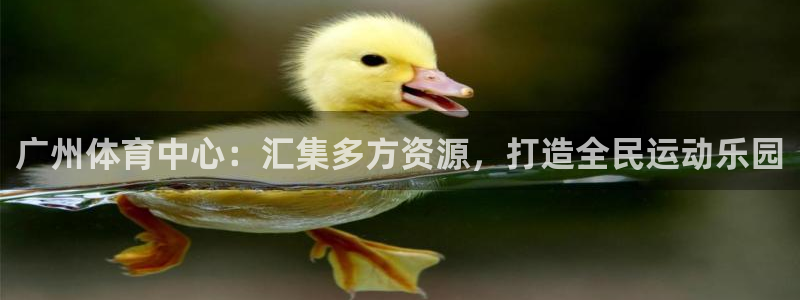 意昂4开户：广州体育中心：汇集多方资源，打造全民运动乐园
