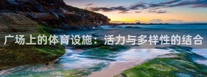 意昂体育4联系电话：广场上的体育设施：活力与多样性的结合