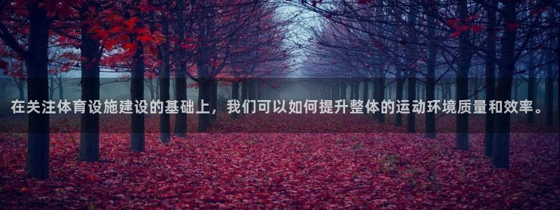 意昂体育4是干嘛的公司：在关注体育设施建设的基础上，