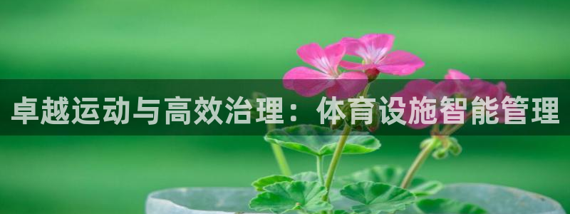 意昂体育4：卓越运动与高效治理：体育设施智能管理