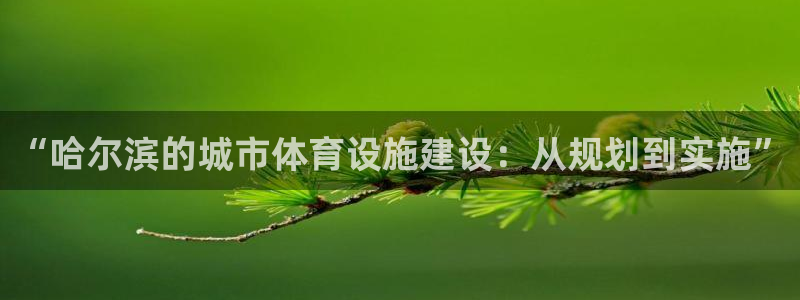 意昂4集团简介：“哈尔滨的城市体育设施建设：从规划到实施”
