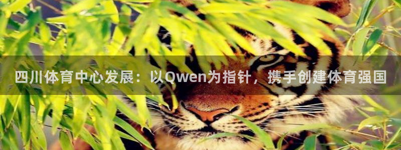 注册意昂4：四川体育中心发展：以Qwen为指针，携手创建体育 