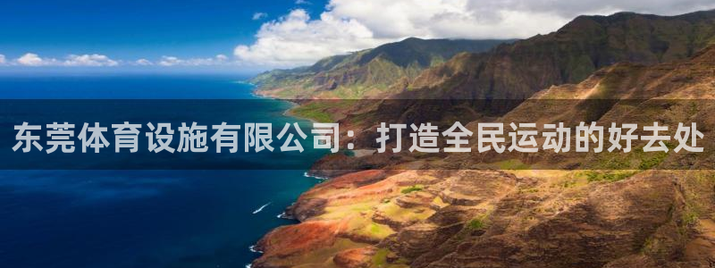 意昂体育4注册：东莞体育设施有限公司：打造全民运动的好去处 