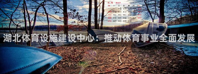 意昂4娱乐是那个系列的台子：湖北体育设施建设中心：推