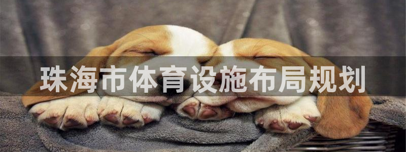 意昂体育4娱乐：珠海市体育设施布局规划