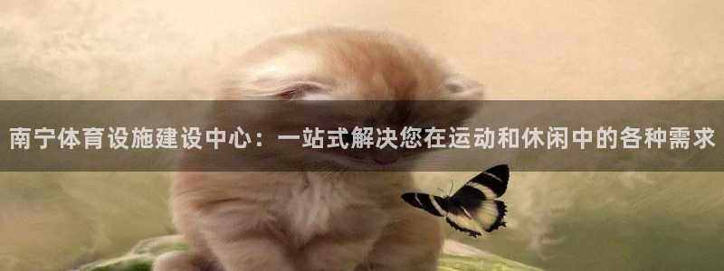 意昂体育4平台APP：南宁体育设施建设中心：一站式解