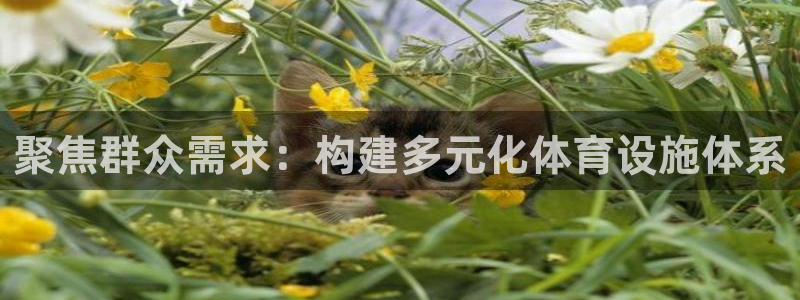 意昂4科技：聚焦群众需求：构建多元化体育设施体系