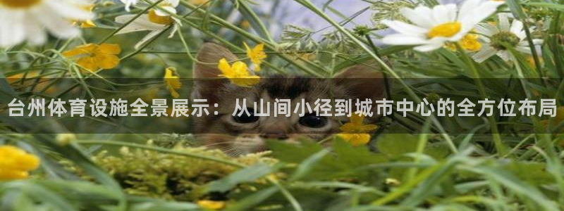 意昂体育4平台注册流程图：台州体育设施全景展示：从山