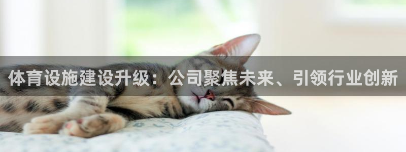 意昂体育4招商电话是多少：体育设施建设升级：公司聚焦