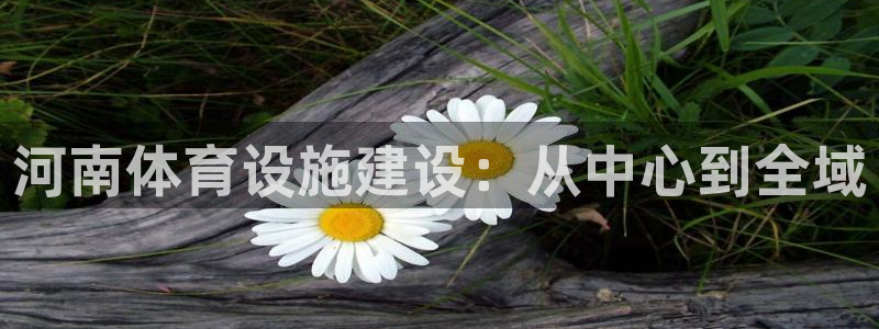 意昂体育4招商电话是多少啊：河南体育设施建设：从中心