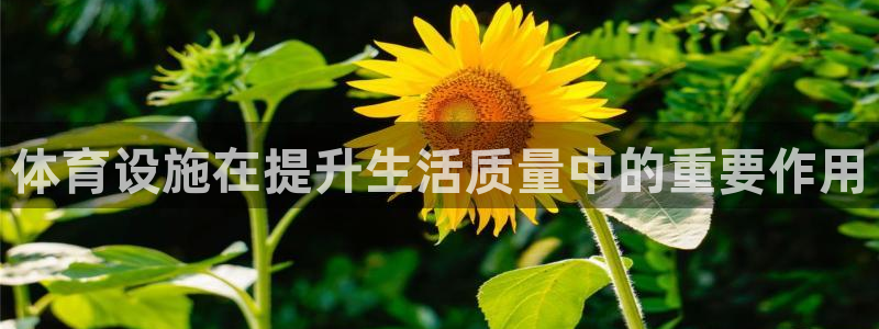 意昂体育4平台注册要钱吗：体育设施在提升生活质量中的