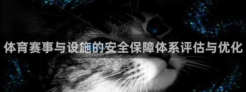 注册意昂4：体育赛事与设施的安全保障体系评估与优化