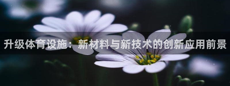 意昂4科技：升级体育设施：新材料与新技术的创新应用前