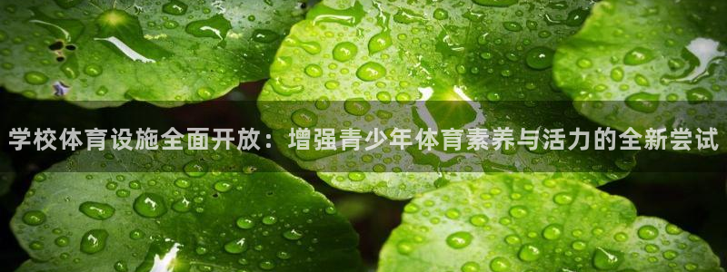 意昂平台体育：学校体育设施全面开放：增强青少年体育素