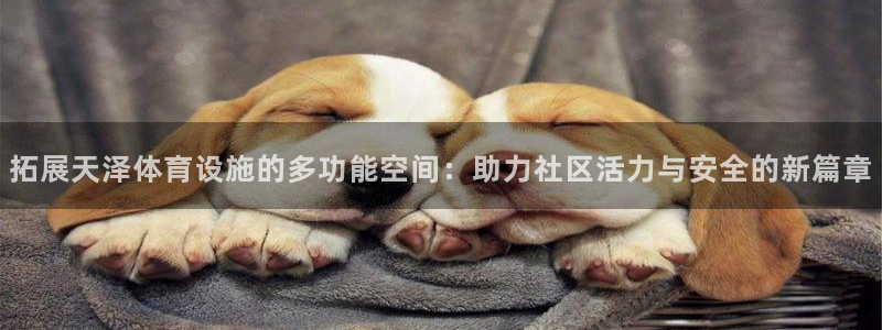 意昂体育4平台是正规平台吗：拓展天泽体育设施的多功能