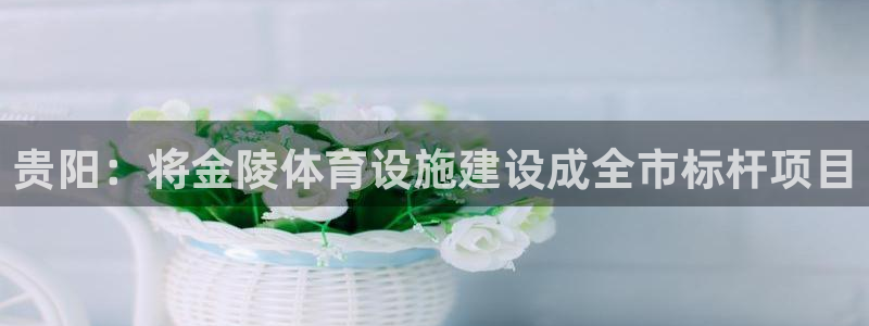 意昂体育4软件：贵阳：将金陵体育设施建设成全市标杆项