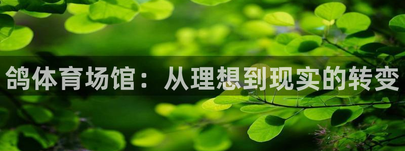 意昂体育4招商电话是多少啊：鸽体育场馆：从理想到现实